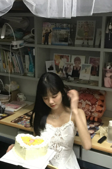 野花影视手机